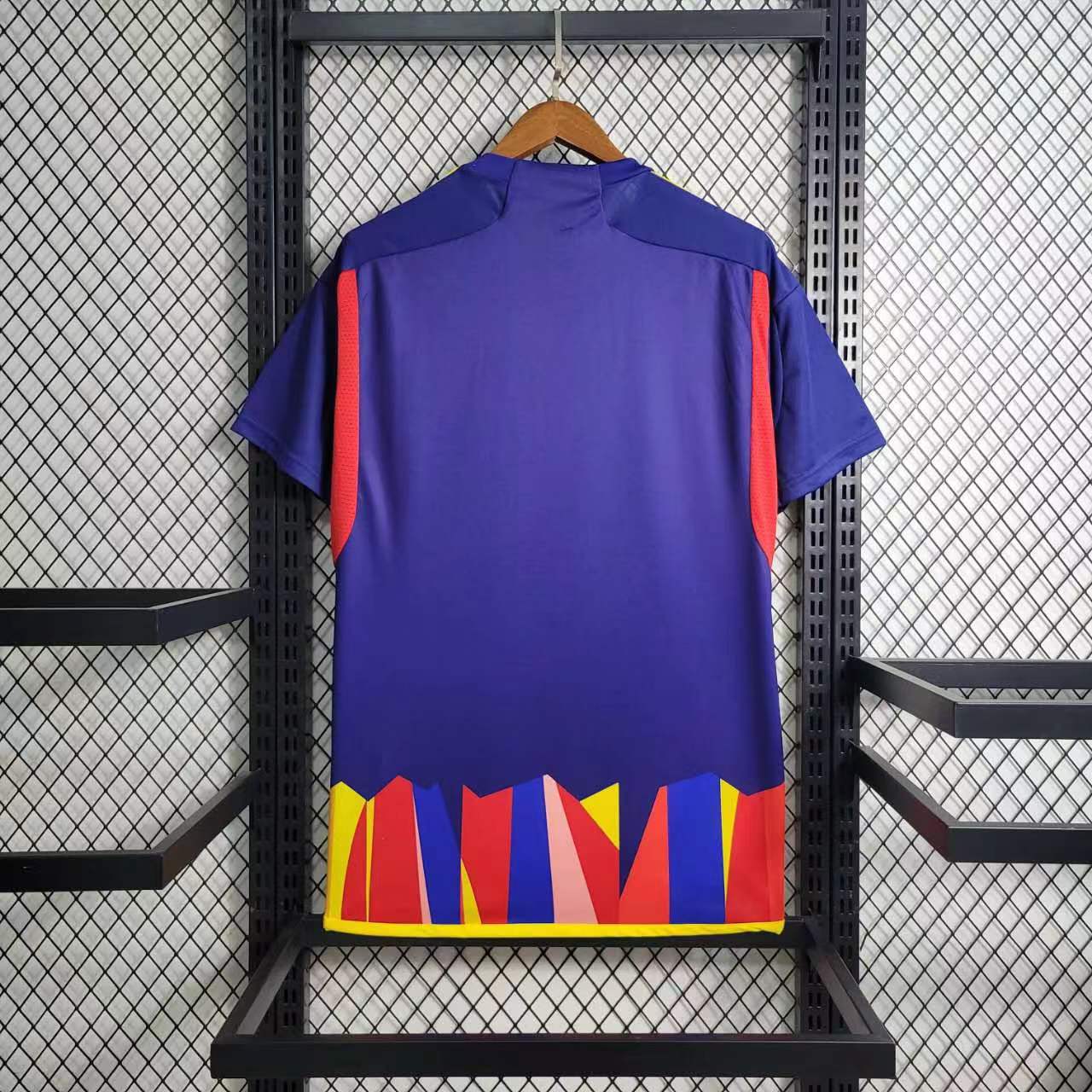 Maillot Lyon Concept 2023-24
