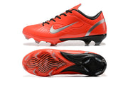 Vapor mercurial 1